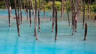 最近有名になったスポットです