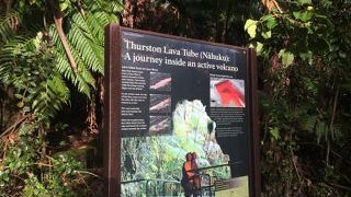 古代の息吹を感じます。