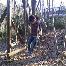 バランス感覚、養えます