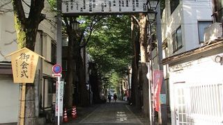 樹齢４００年以上の欅