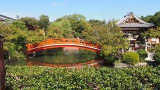 静まり返った池の庭園