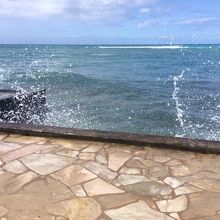 海辺を歩いてワイキキに帰ります。