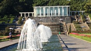 大噴水広場・バラ園が綺麗でした