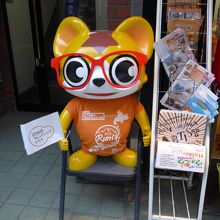 そして二匹目の銀ちゃん　めがねが似合いますね