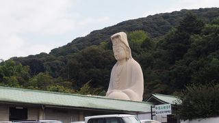 護国寺の北側にある観音像