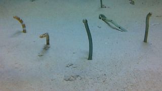 外せないスポット