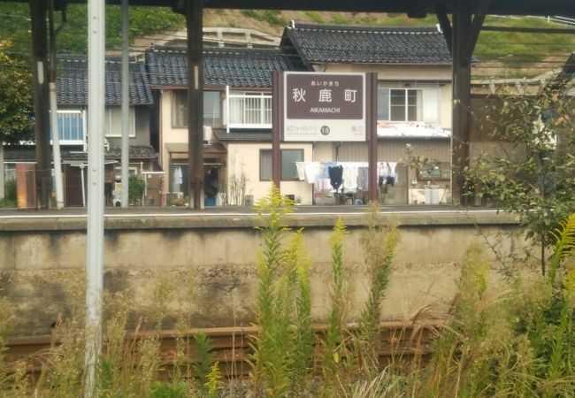松江イングリッシュガーデン前駅