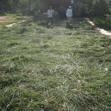 仕事に励む若い連中