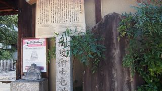 ねねの道の途中