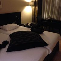 シックな感じ。広さはまあ普通