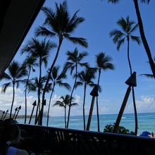 テラス席からの景色　最高！！