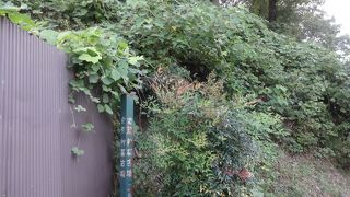 家型石棺あります