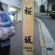 全日空ホテルの北側にある桜坂の標識柱です。(坂の下端部)