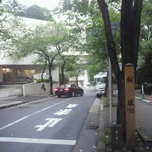 桜坂の上から下を見た様子です。降りる先は、六本木通りです。