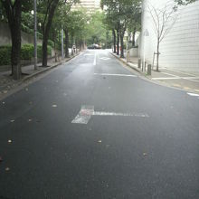 桜坂の下から坂の上を見た様子です。桜の木が見えます。