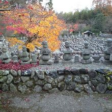 沢山の仏様がお出迎え