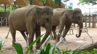 子連れにおすすめ