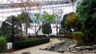 雨の日も気にせず使える施設