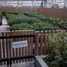 ファームもあります。