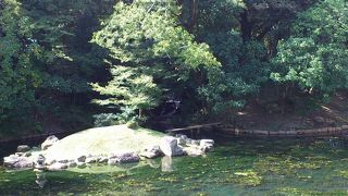 木々が水面に映えて