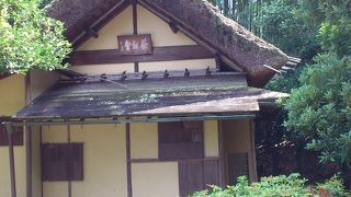元は利休堂
