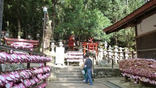 たくさんの絵馬