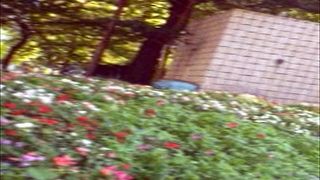 ちょっと休憩するのに良い公園