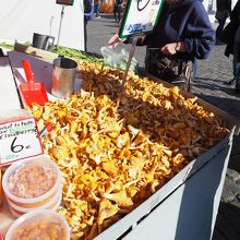 アンズダケもあり。