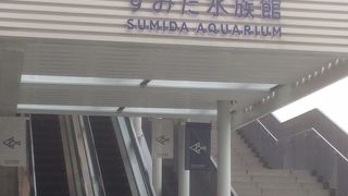 ちんあなごチュロス