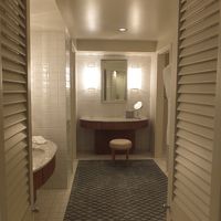 奥の左右がクローゼット　手前の右がバスタブ・シャワー　左が洗