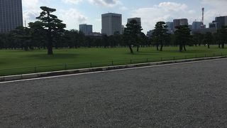 都会のオアシス