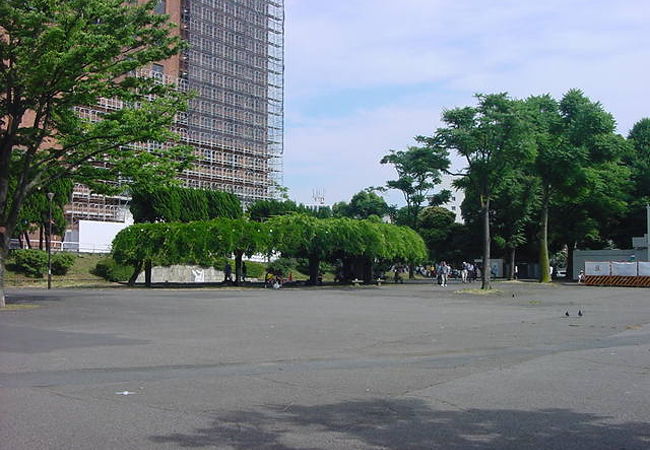 のんびりした公園です