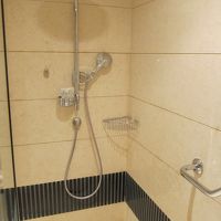 シャワーヘッドは手持ちと天井固定式の２つ