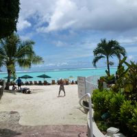 ここから海にいきます