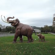 親子のナウマン象の模型