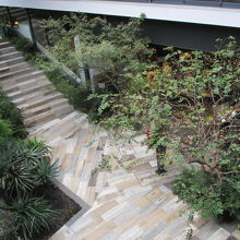 敷地内階段がいい感じ