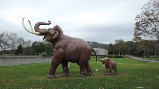 親子のナウマン象の模型