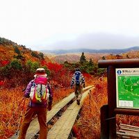 目に染みる程の紅葉をたのしみました。