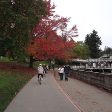 時期：10月終わり