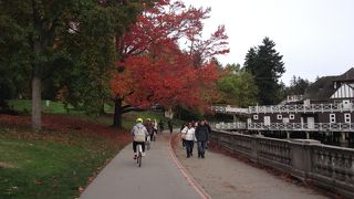 サイクリングがおすすめです！