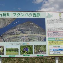 マクンベツ湿原の案内図