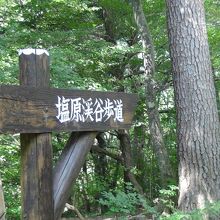 森林浴も楽しめます