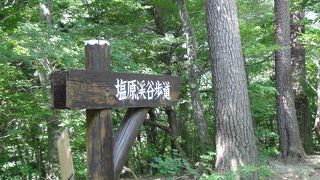 回顧コース、やしおコース、竜化の滝コースがあります。