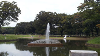 都会のオアシス