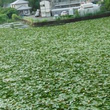 嬉野温泉　嬉野館