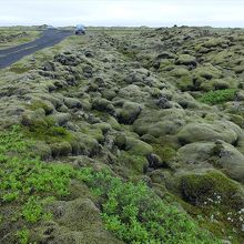車から降りて、ちょっとエルドフロインの中も歩いてみましょう。