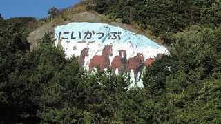 さようなら新冠町