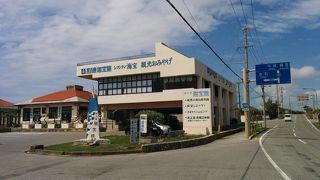 ～★☆全国から集められた多くの貝が展示されています☆★～