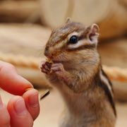 子供は大はしゃぎでした。