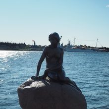 朝は逆光になります･･･。